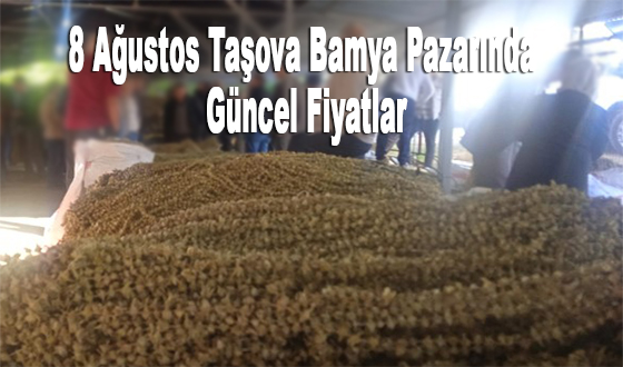 Taşova’da Kurulan Bamya Pazarında Çiçek Bamyası Fiyatları Dikkat Çekti