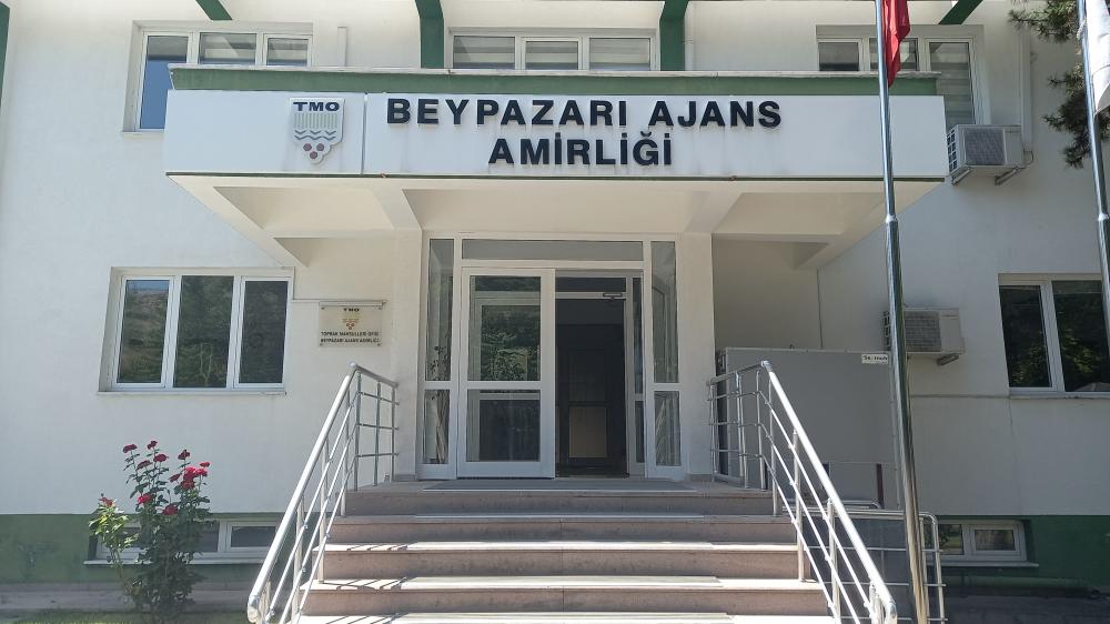 TMO Beypazarı Ajansı 33 Bin Ton Hububat Alımı Yaptı