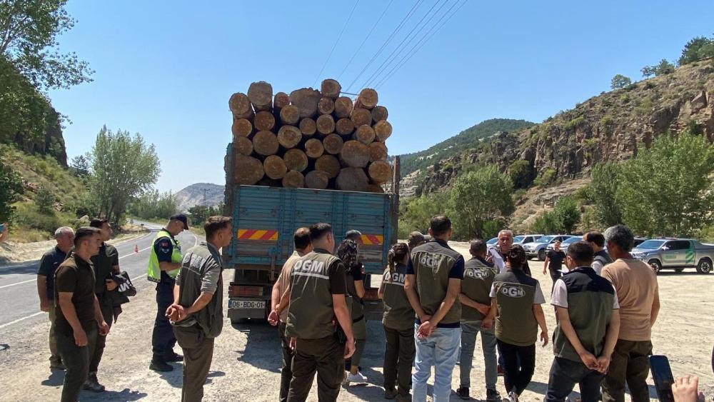 Beypazarı Orman İşletme Müdürlüğü, Tomruk Taşıyan Araçlara Sıkı Denetim Uyguluyor