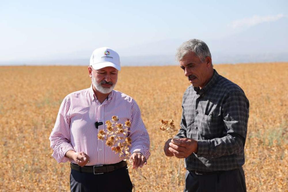 KOCASİNAN BELEDİYESİ’NDEN HEM TARIMA HEM İHTİYAÇ SAHİPLERİNE DESTEK