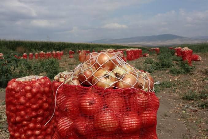 Mihalıççık’ta Tarım Sezonu Sona Erdi