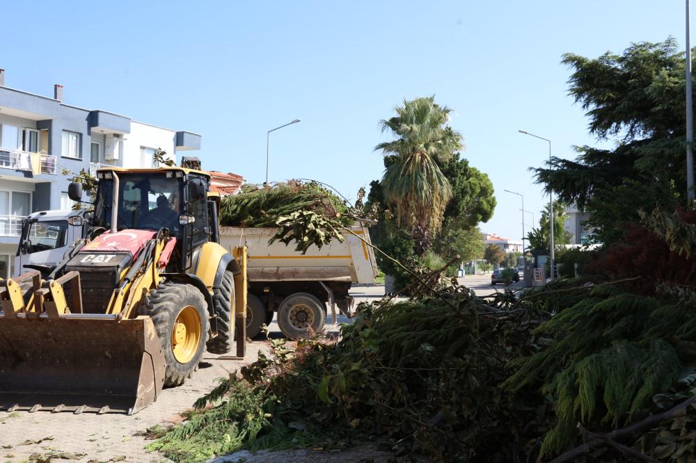 Güzelbahçe Belediyesi’nden Çevreci Hamle: Safra Seferberliği Başladı