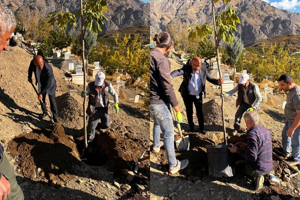 Hakkari Belediyesi, Mezarlık Ağaçlandırma Çalışmalarıyla Vatandaşların Takdirini Kazandı