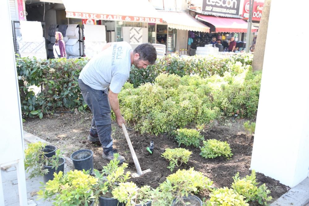 Çiğli’de Yeşil Alanlar Artıyor: Ağaç Dikimi ve Peyzaj Düzenlemeleri Hız Kesmiyor