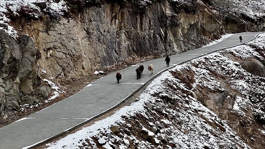 Çamlıhemşin Yaylacıları Köye Dönüyor: 2024 Yayla Sezonu Tamamlandı