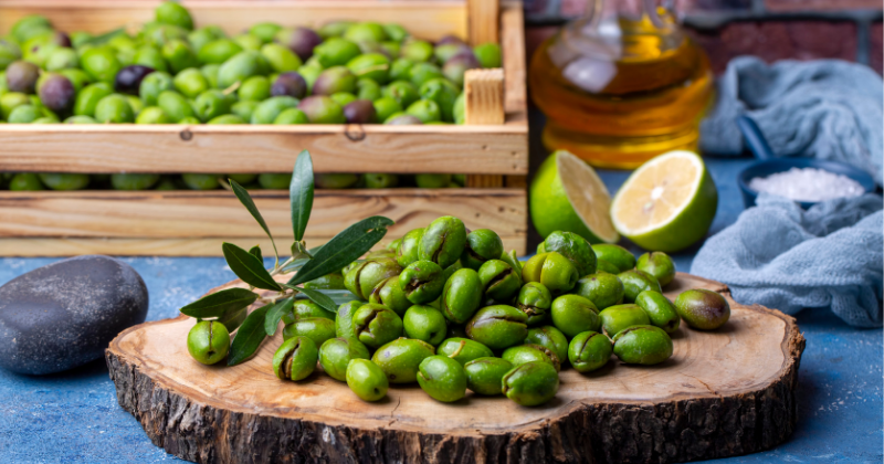 Çukurova'da Zeytin Hasadı Başladı: Sofralarımıza Lezzet Yolculuğu