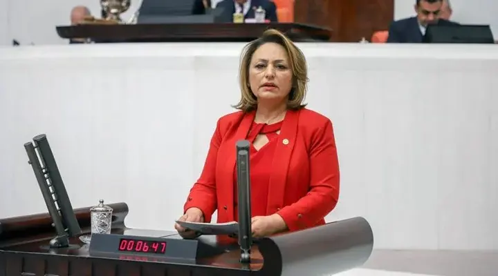 Türkiye'de Doğurganlık Hızında Endişe Verici Düşüş: Ekonomik Koşullar Etkili Oluyor