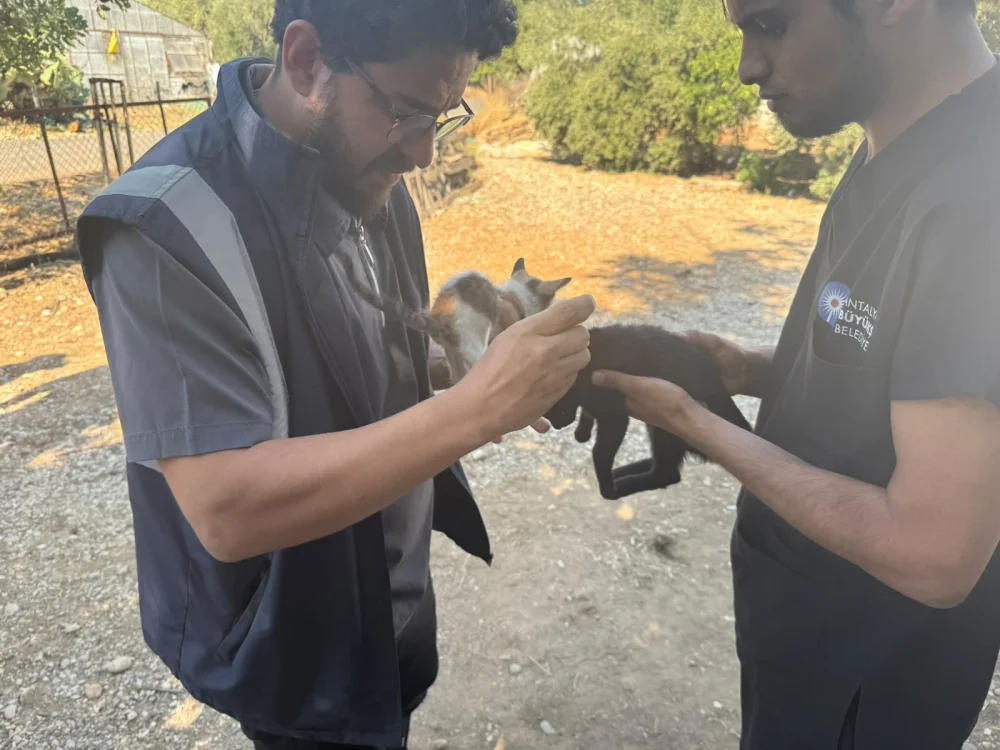 Antalya Büyükşehir Belediyesi yangının ilk anından itibaren sahada